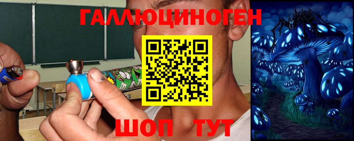 Галлюциногенные грибы MAGIC MUSHROOMS  Вход с VPN  Черкесск  Псилоцибиновые грибы мицелий 